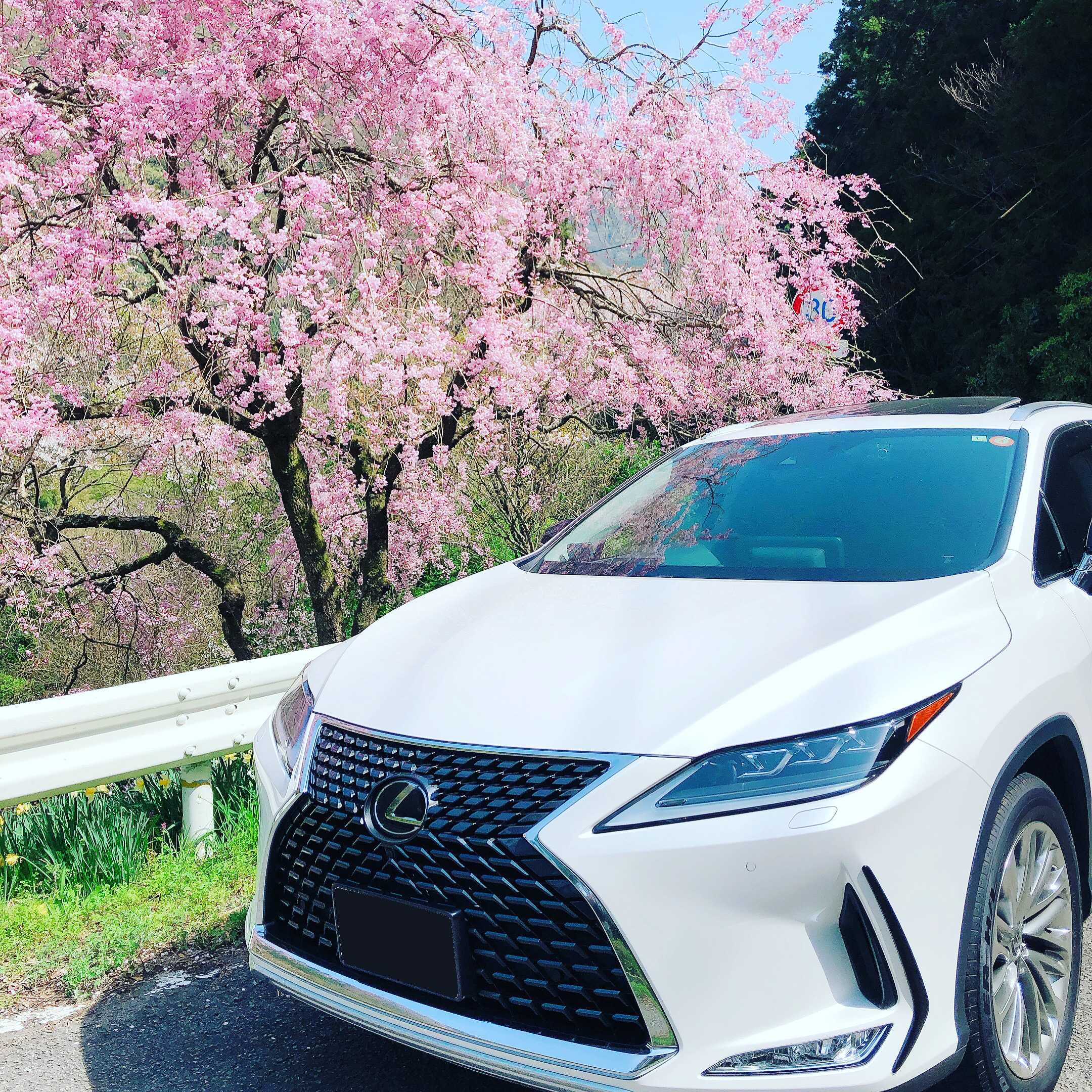 レクサスで行く旅とドライブ|オーナーが語るUX・RX体験記