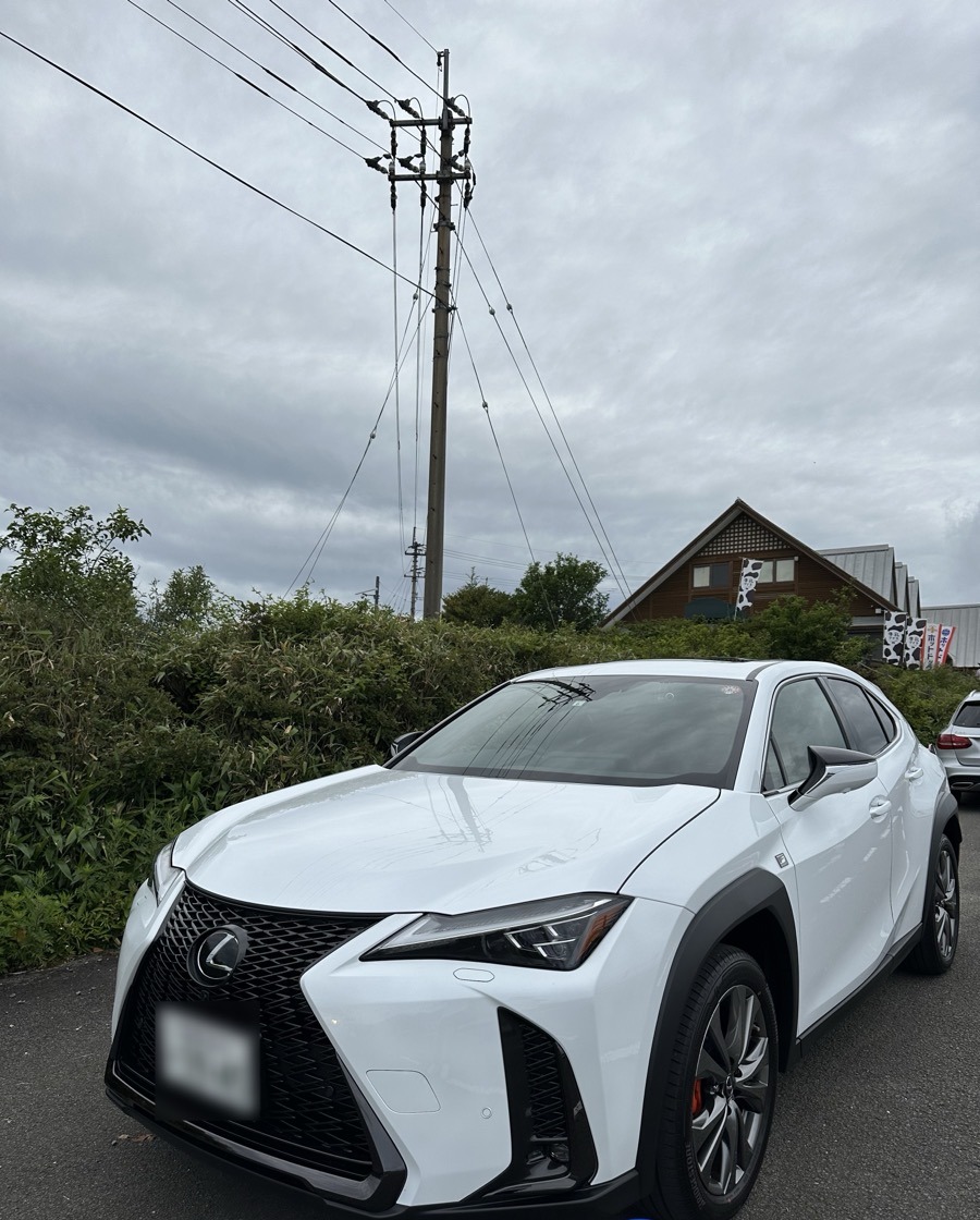 LEXUS UX250h Fスポーツ フロントビュー