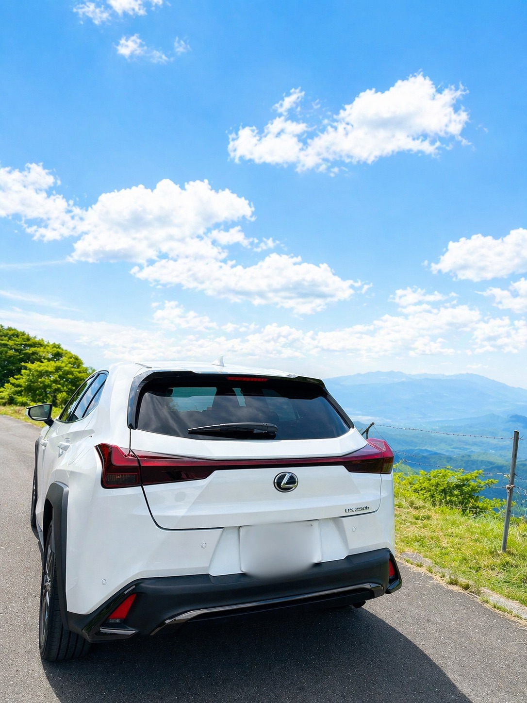 レクサスUX250h Fスポーツ リアビュー