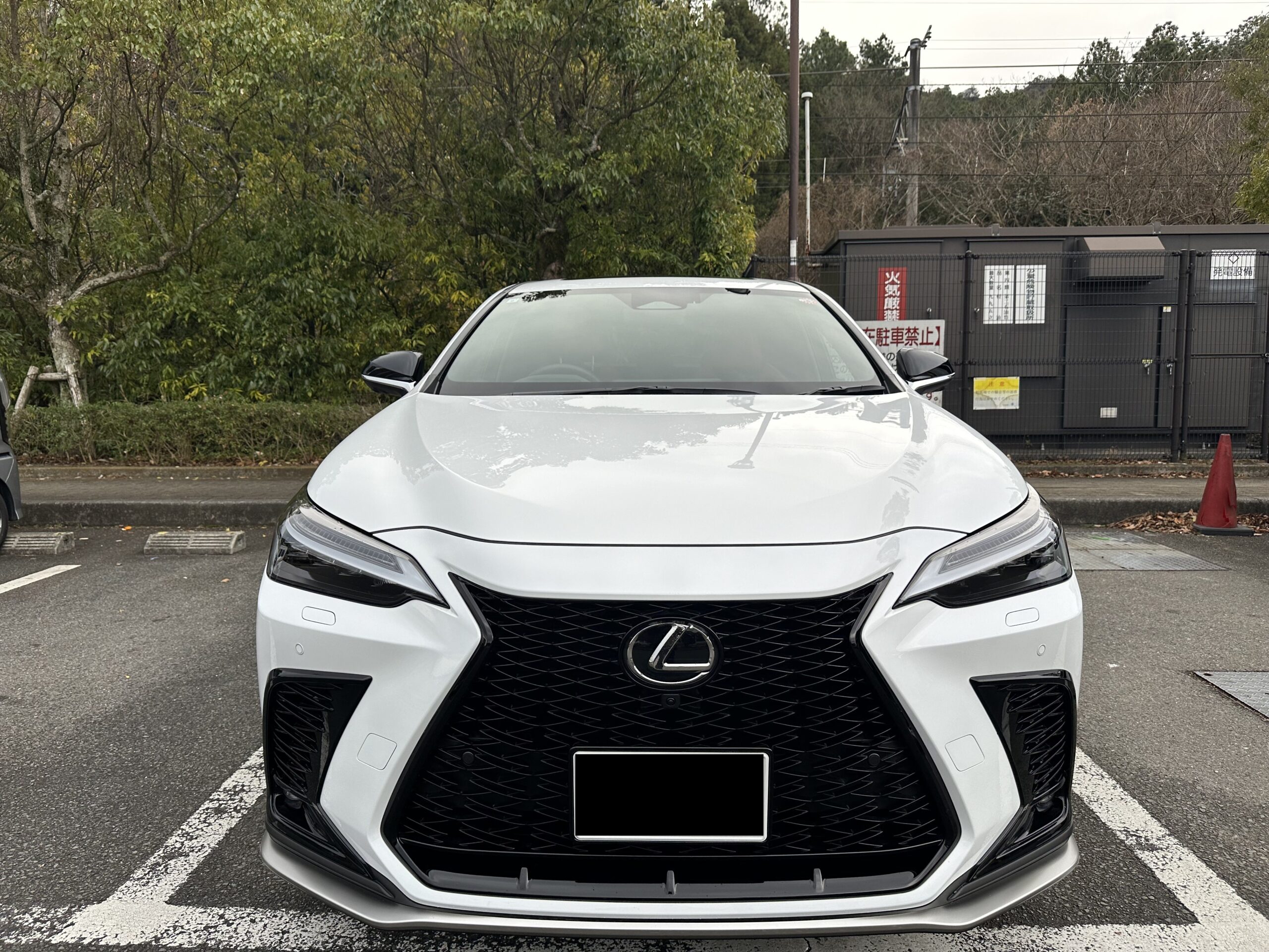 レクサスNX350 Fスポーツ ホワイトノーヴァガラスフレーク フロント