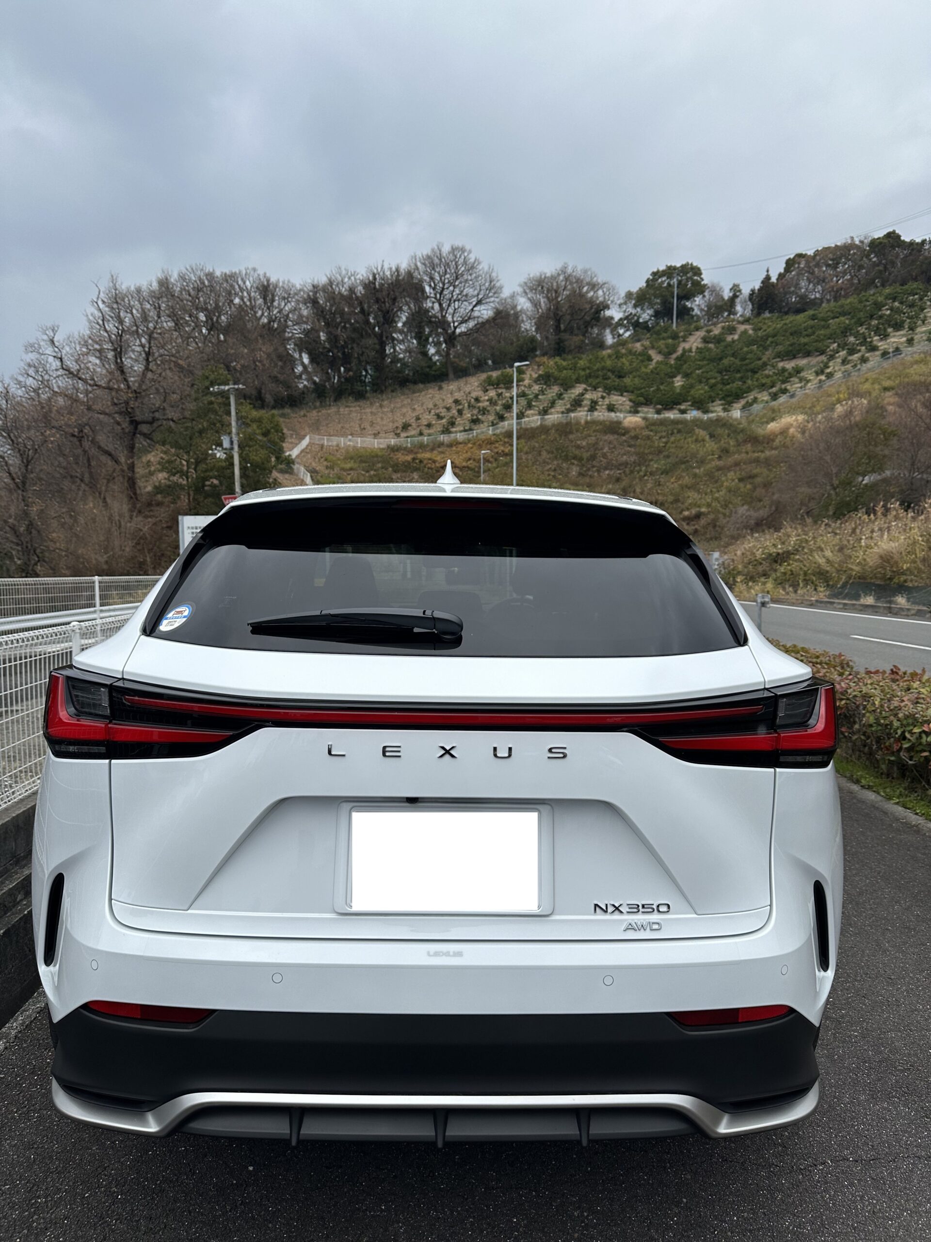 NX350 Fスポーツ リアビュー