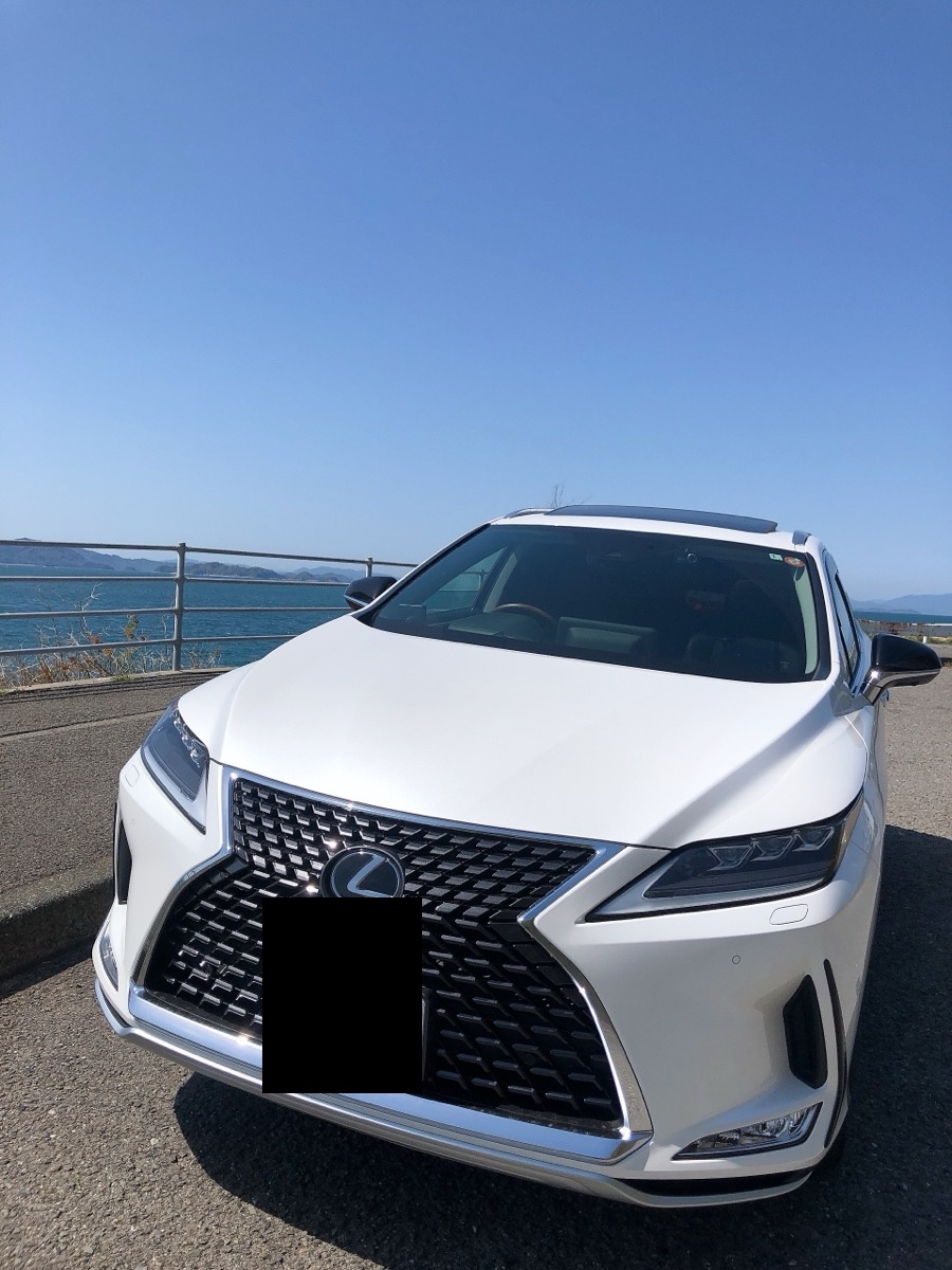 レクサスRX 海辺