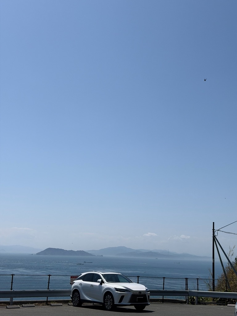 佐田岬駐車場のRXと九州の山影