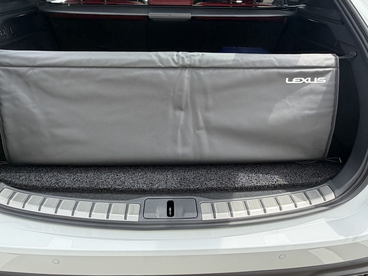 LEXUS純正バックドアオープニングガード｜RX300→RX350に流用OKの
