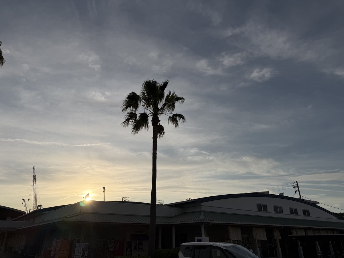 きさいや広場 夕日とヤシの木