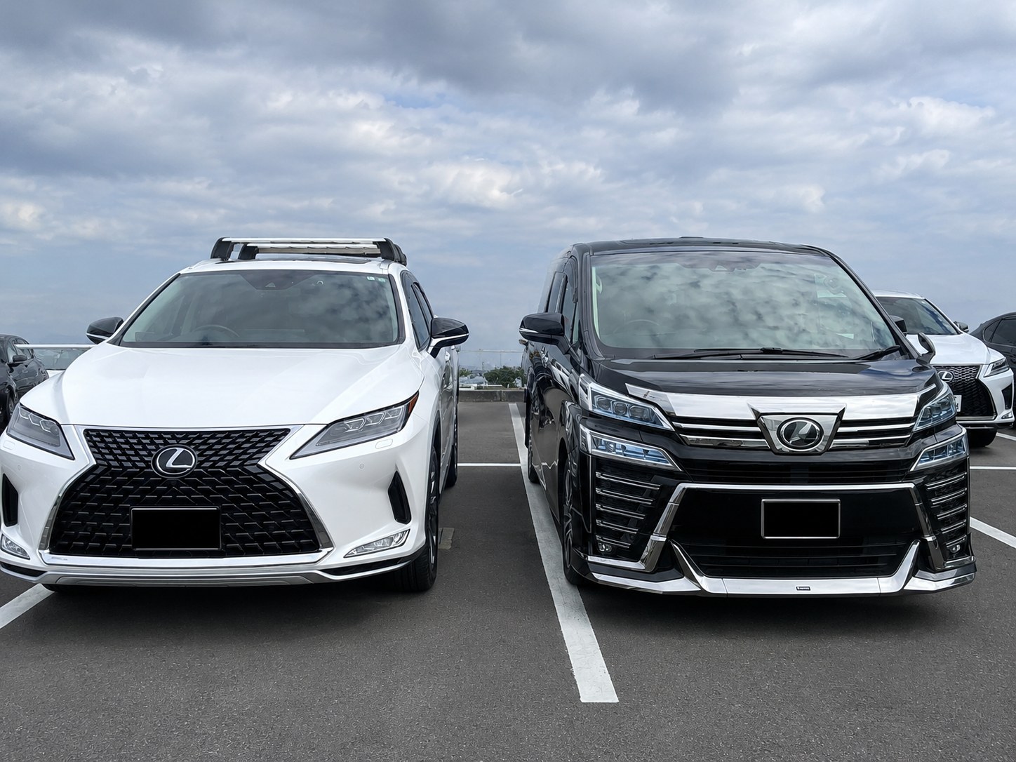 トヨタ ヴェルファイア30系 とレクサスRX300 バージョンL（白×黒の対比）