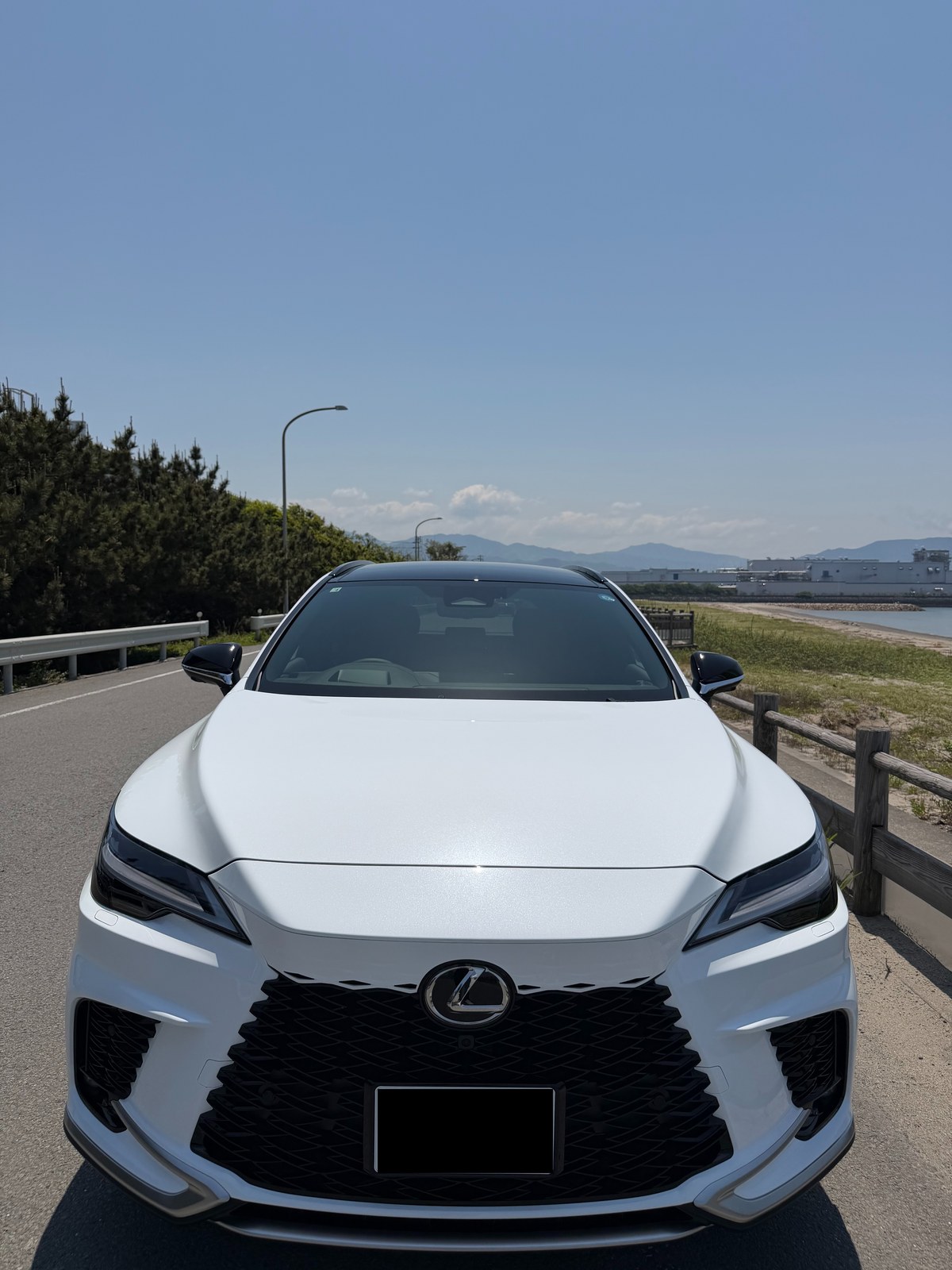 現所有のレクサスRX350 Fスポーツ AWD（5代目／TALA15型・ホワイトノーヴァガラスフレーク）