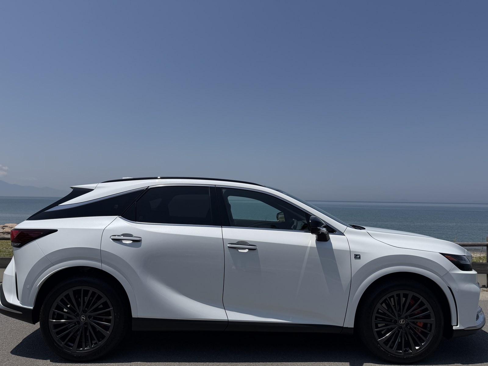 レクサスRX350 Fスポーツ AWD(5代目/TALA15型)と海