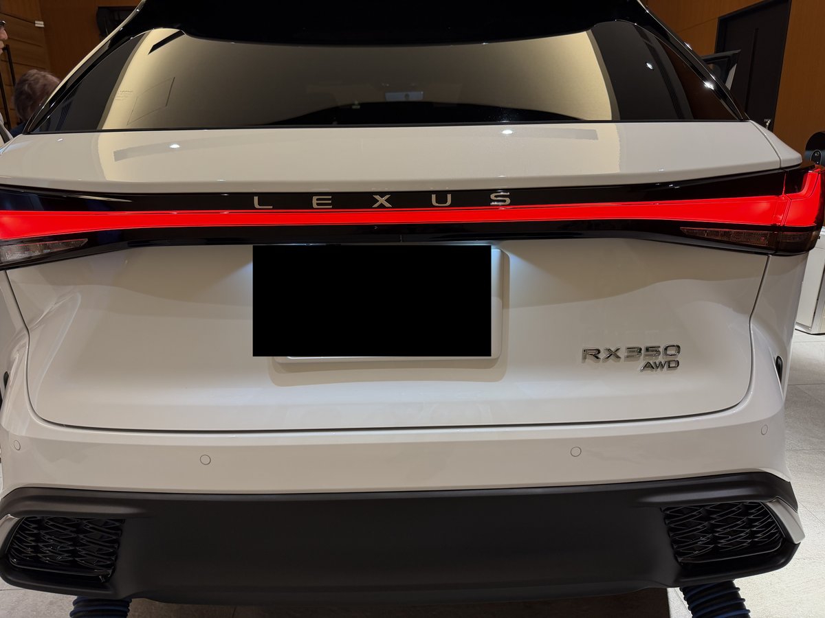 レクサスRX350 AWDのリアエンブレム（LEXUSロゴ・テールランプ）