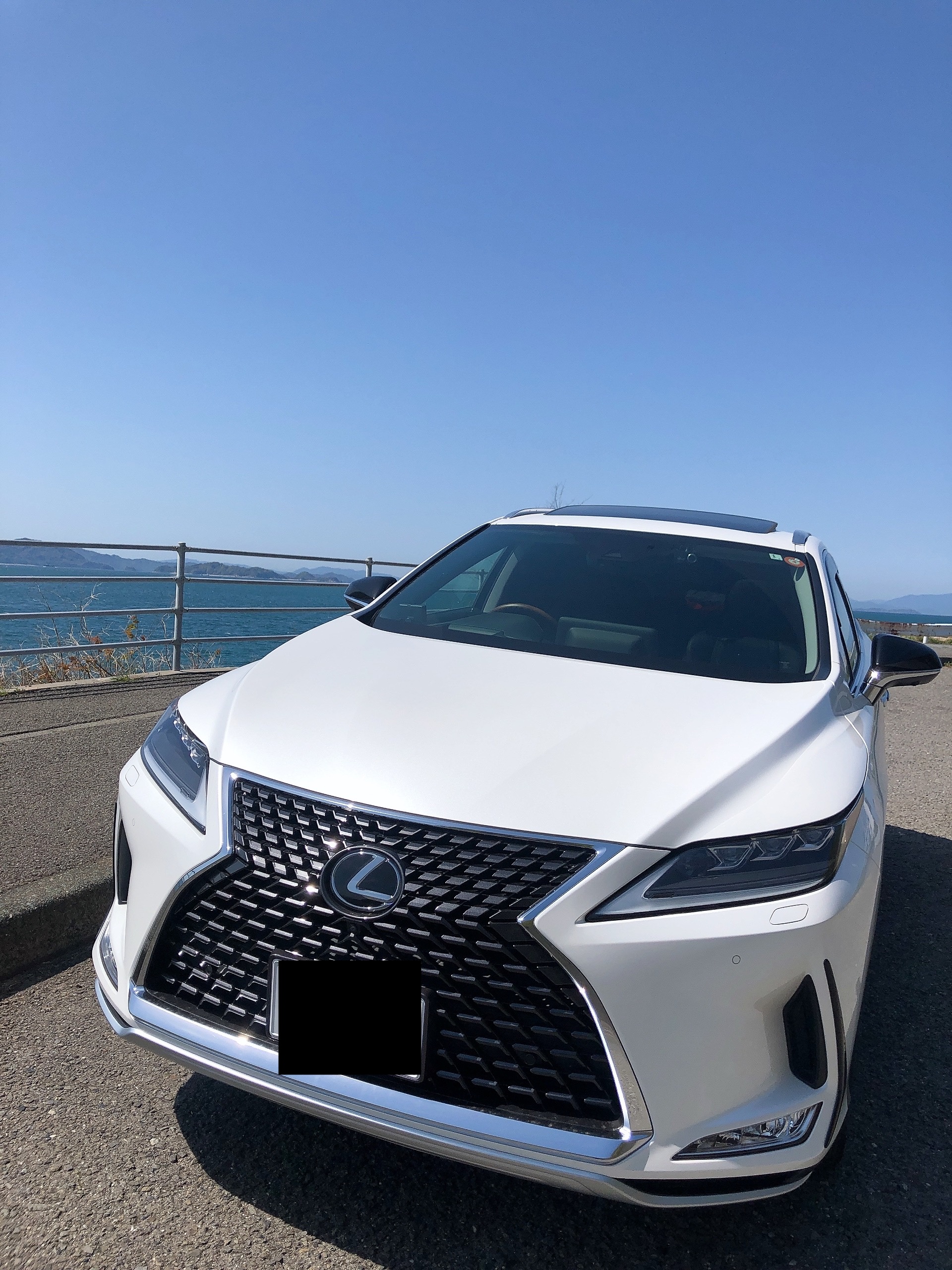 レクサスRX 海辺