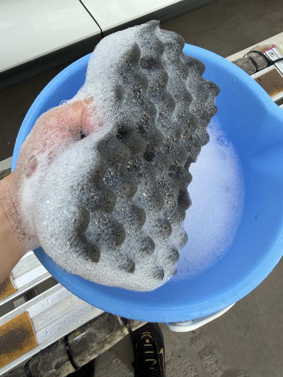 スポンジに泡をたっぷり吸わせる