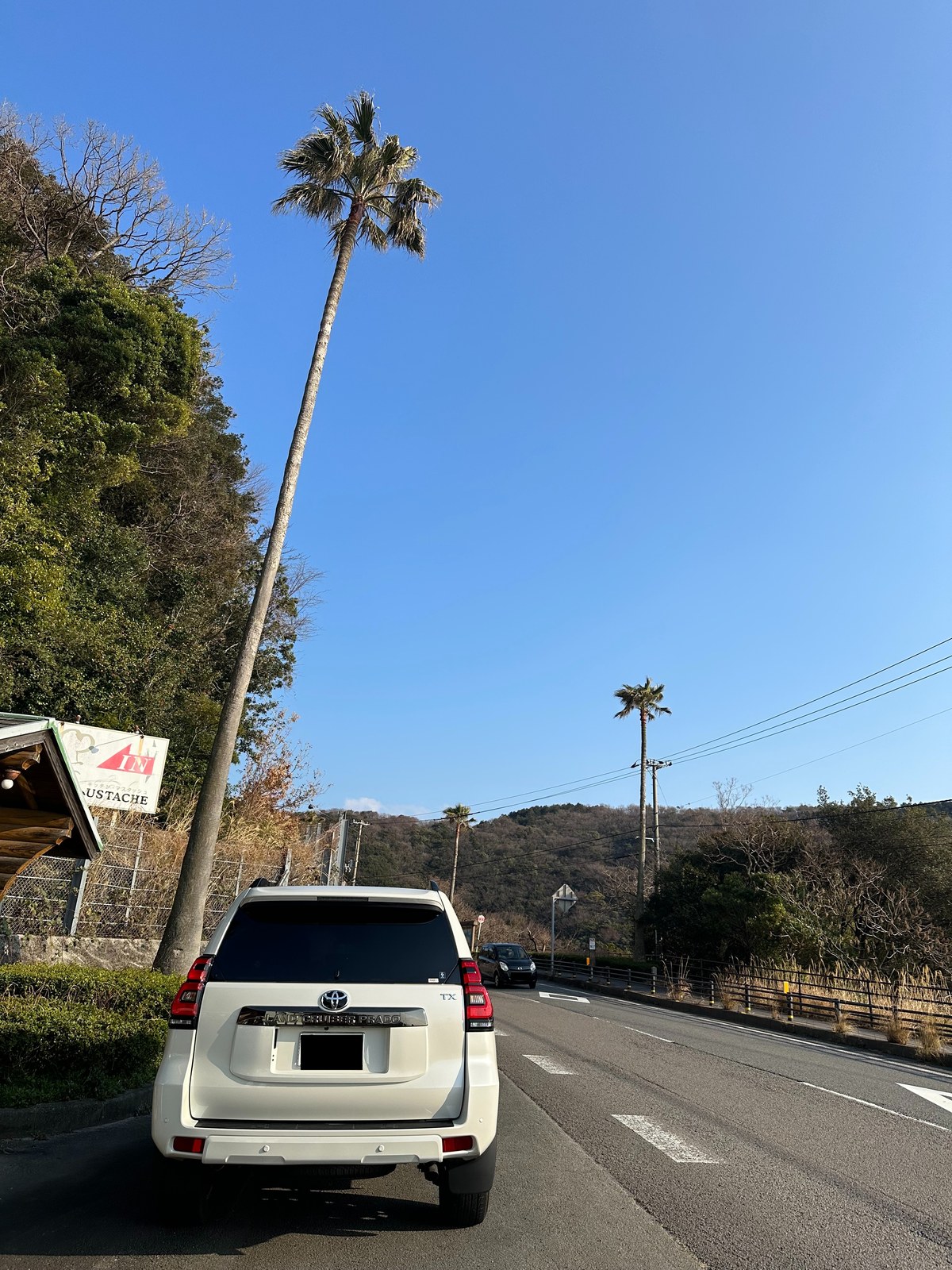 トヨタ ランドクルーザープラド 椰子の木と青空(遠出の思い出)