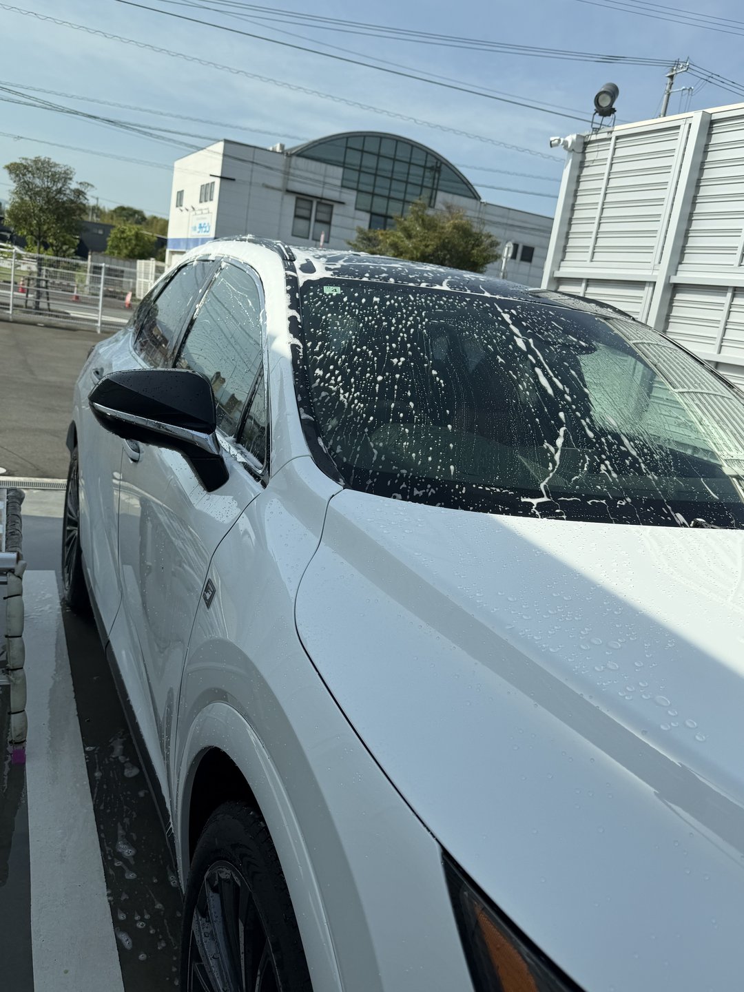 ボディに泡を乗せる