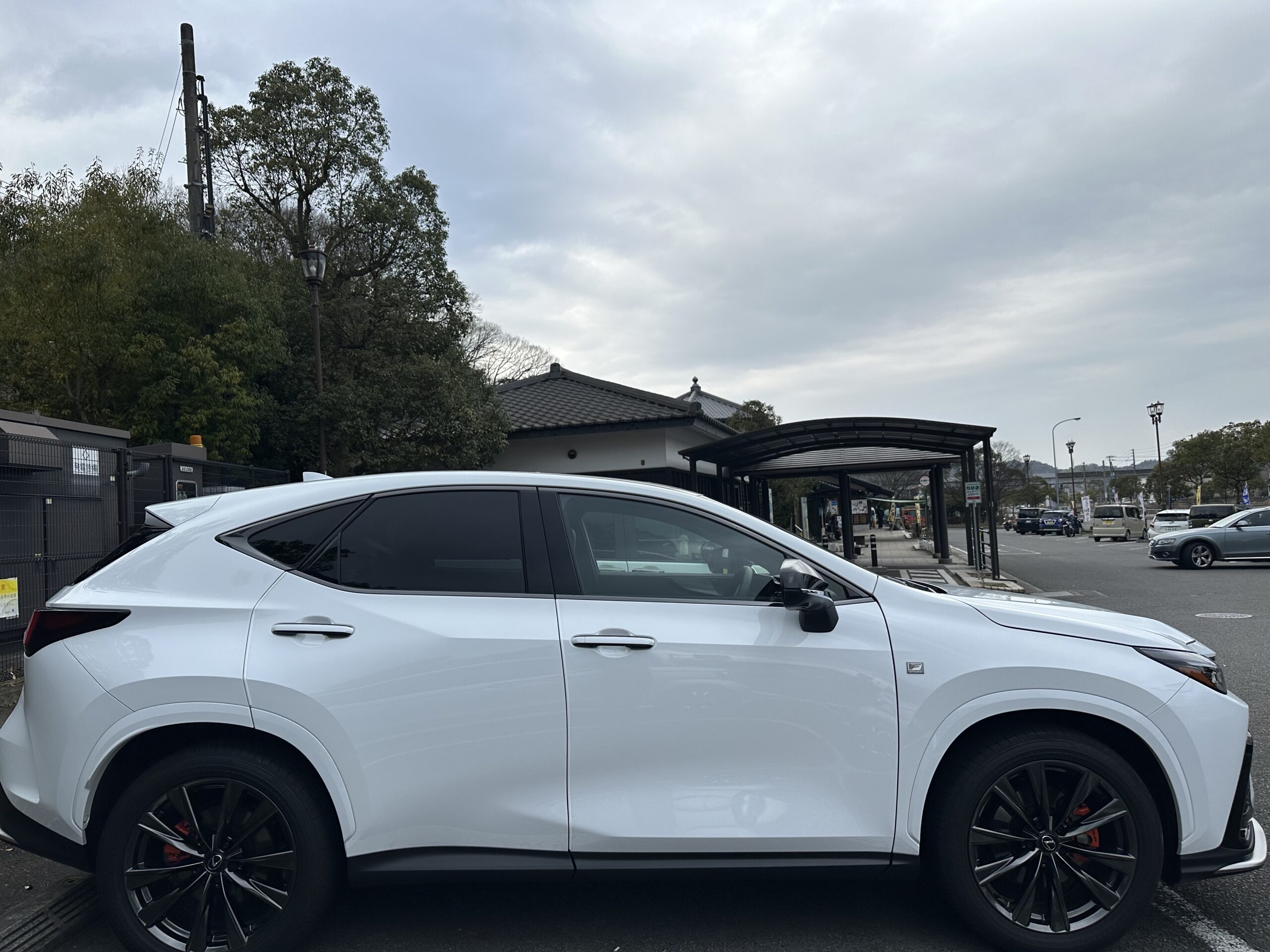 レクサスNX350 Fスポーツ AWD ホワイトノーヴァガラスフレークのサイドビュー