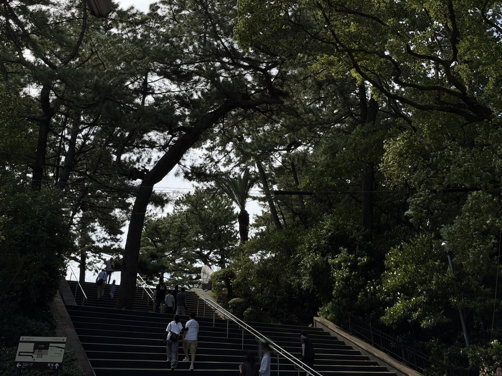 龍馬像へ向かう松林の中の階段