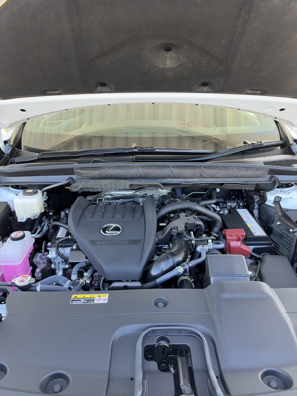 拭き上げたあとのRX350のエンジンルーム